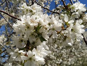 Similar image 21375393