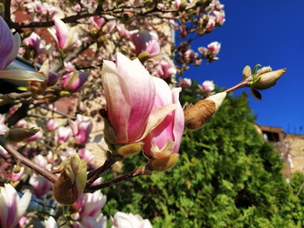 Similar image 21375692