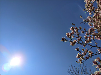 Similar image 21375693