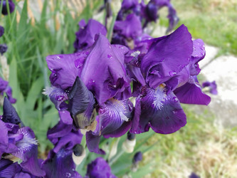 Similar image 21375694