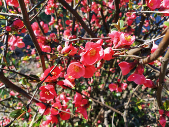 Similar image 21374273