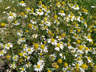 Similar image 21374274