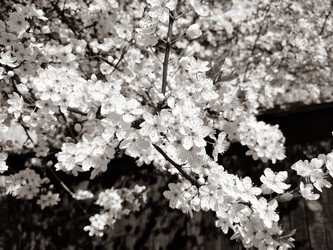 Similar image 21374281