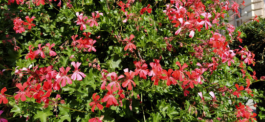 Similar image 21374282