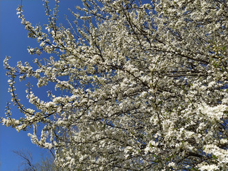 Similar image 21374289