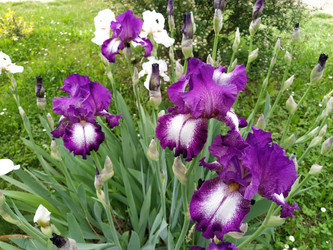 Similar image 21374995