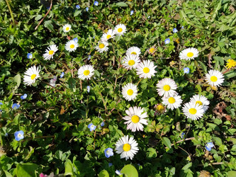 Similar image 21375183