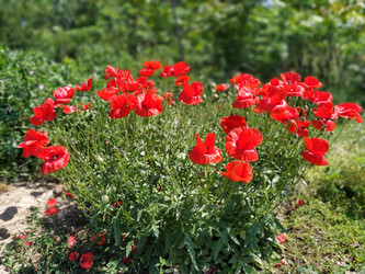 Similar image 21375185