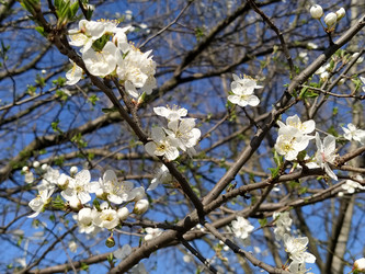 Similar image 21375186