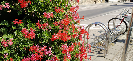 Similar image 21375190