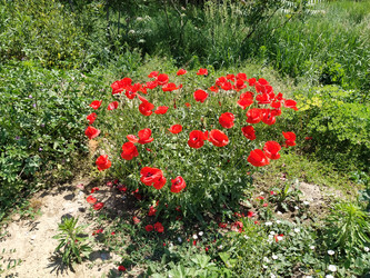 Similar image 21375395