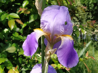 Similar image 21375396