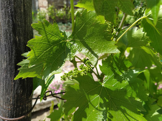 Similar image 21375398