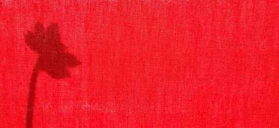 Similar image 21375403