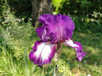 Similar image 21375405