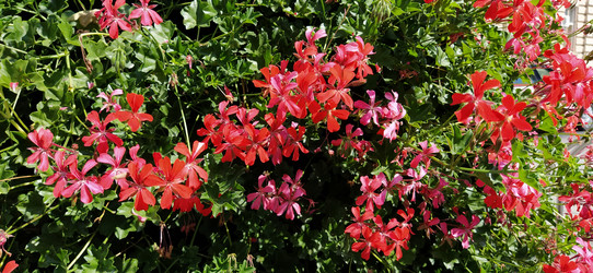 Similar image 21375406