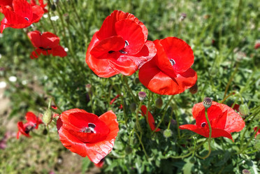 Similar image 21375408