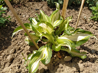 Similar image 21375696