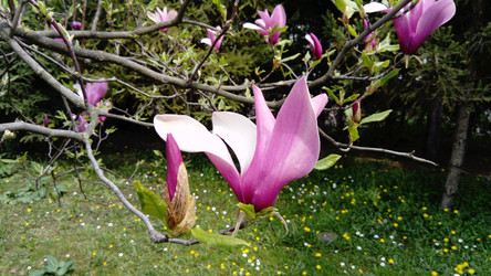 Similar image 21375697