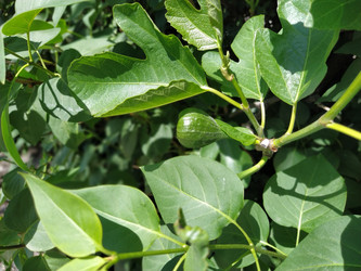 Similar image 21375698