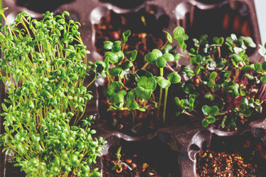 Similar image 21350915