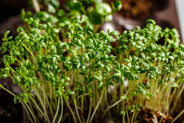 Similar image 21350917