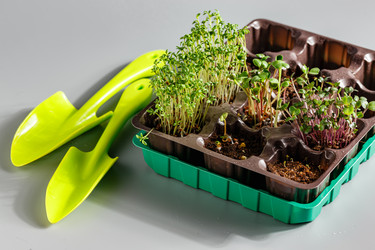 Similar image 21350919