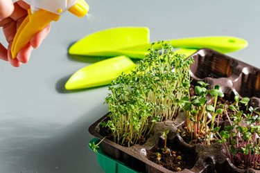 Similar image 21350921