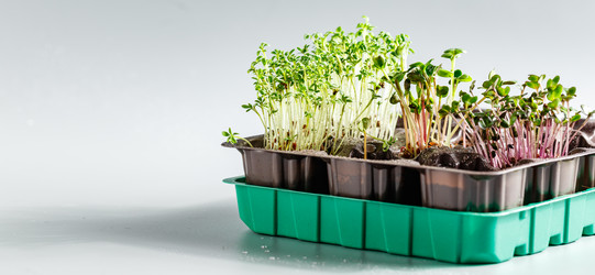 Similar image 21350923