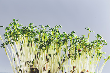 Similar image 21350925