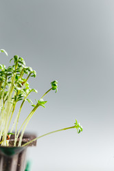 Similar image 21350927