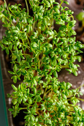 Similar image 21350929