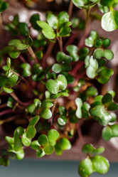 Similar image 21350966