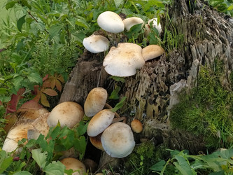 Similar image 21374572