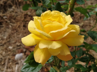 Similar image 21374778