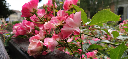 Similar image 21374842