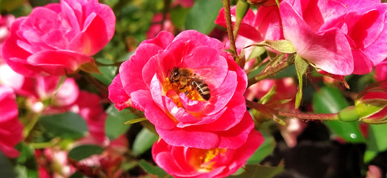 Similar image 21374999