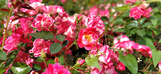 Similar image 21375003