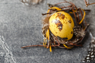 Similar image 21350861