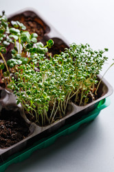 Similar image 21350882