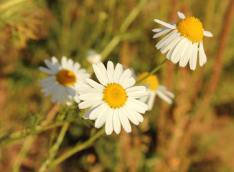 Similar image 21344913