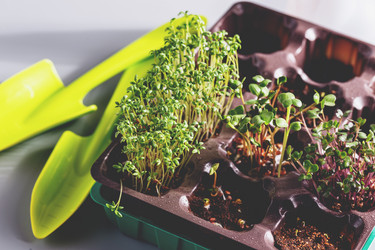 Similar image 21351406