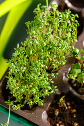 Similar image 21351408