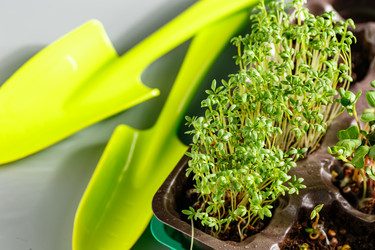 Similar image 21351409