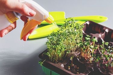 Similar image 21351426