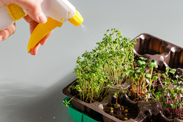 Similar image 21351428