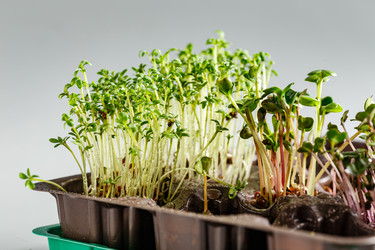 Similar image 21350971