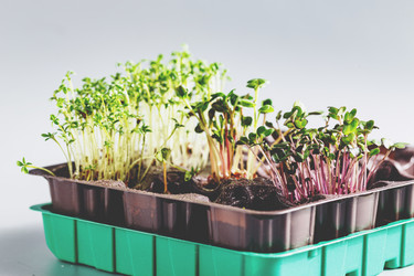 Similar image 21350972