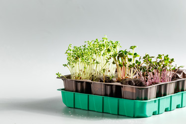 Similar image 21350974