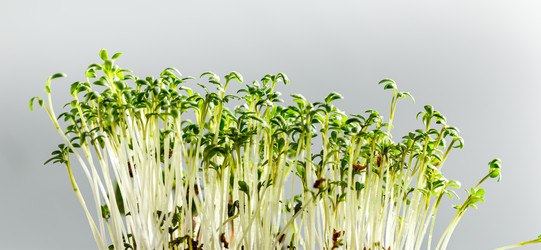 Similar image 21350980